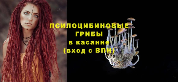 эйфоретик Аркадак