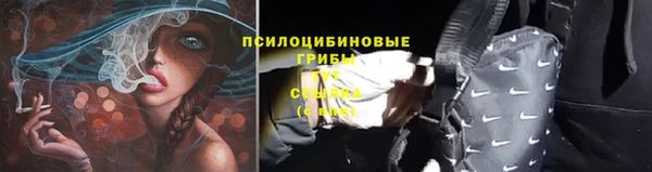 а пвп мука Армянск