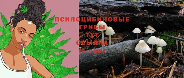 бутират Переславль-Залесский
