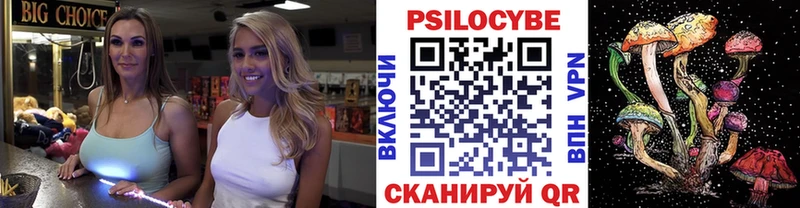где продают   Чадан  Галлюциногенные грибы Magic Shrooms 